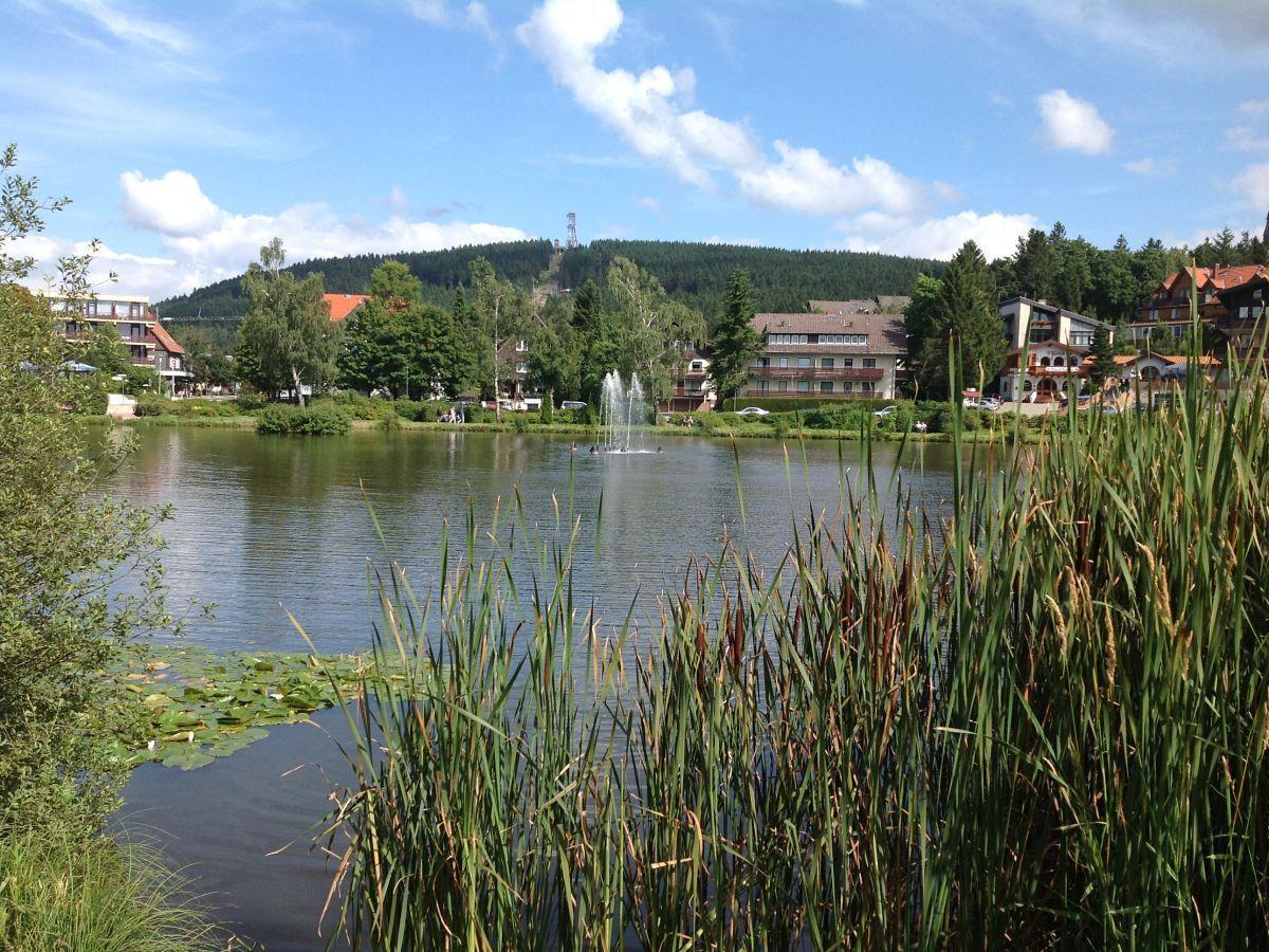 Bocksbergblick Fewo Auszeit กอสลาร์ ภายนอก รูปภาพ